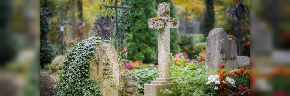 Friedhof Friedhof