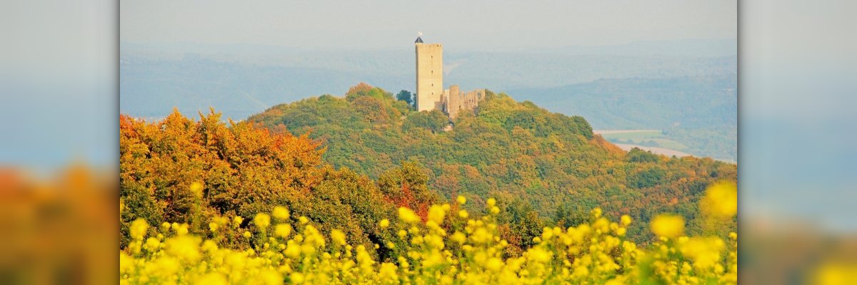 Burg Olbrück Burg Olbrück