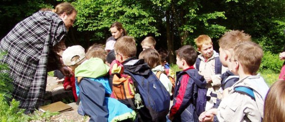 Schatzsuche, Gruppenarrangement