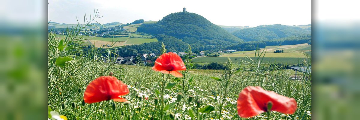 Überblick Landschaft Brohltal