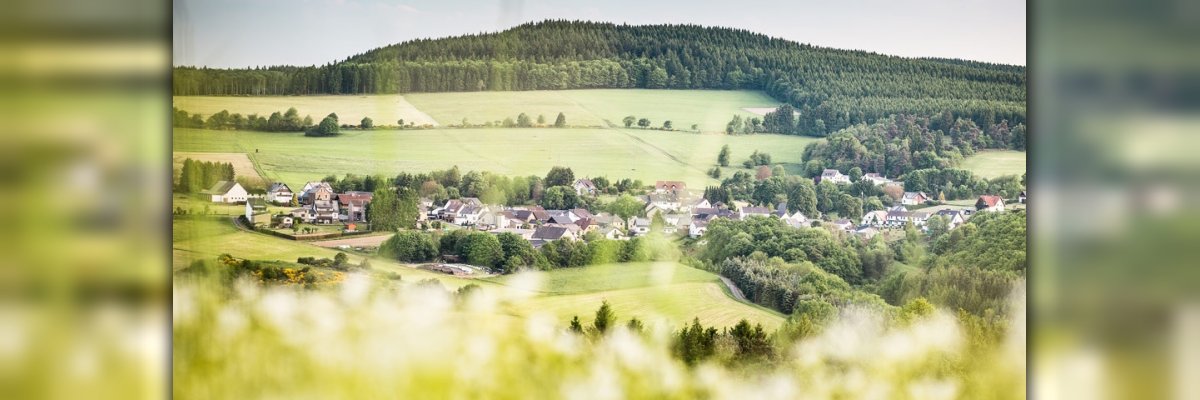 Ansicht Hohenleimbach