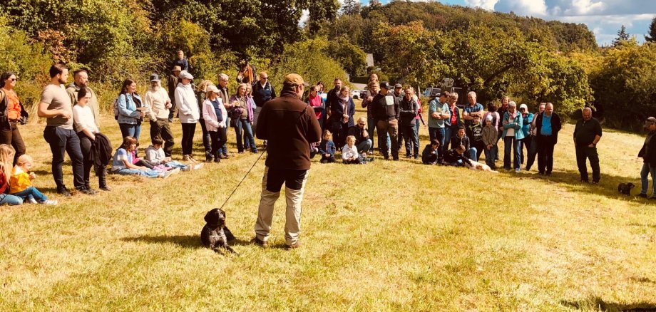 Vorführung Jagdhunde